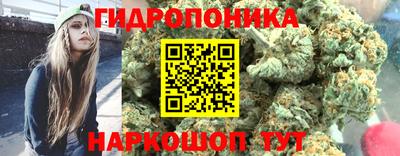 эйфоретик Моздок