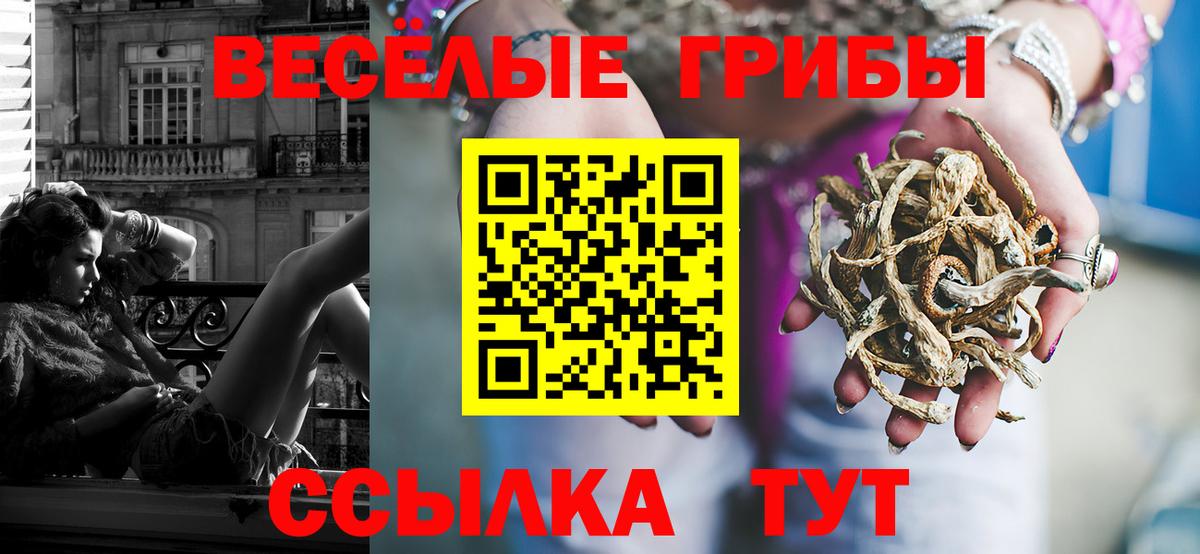 наркотики  Галлюциногенные грибы Psilocybe  Вход с VPN  Курганинск 